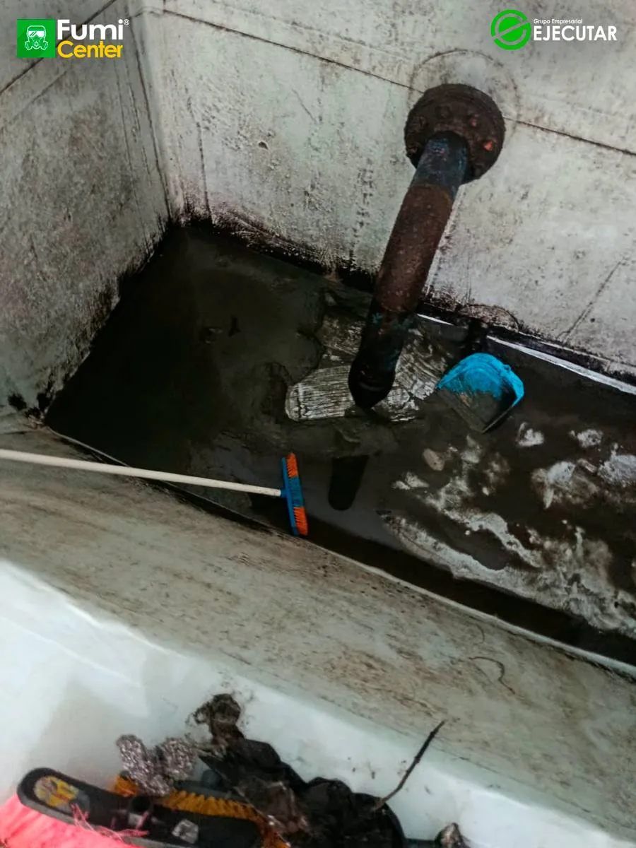 Control de plagas de FumiCenter para Alcaldía de Algarrobo en el Magdalena