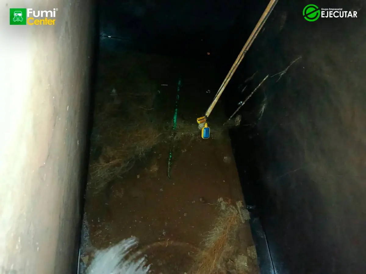 Control de plagas de FumiCenter para Registraduría Nacional en el Magdalena