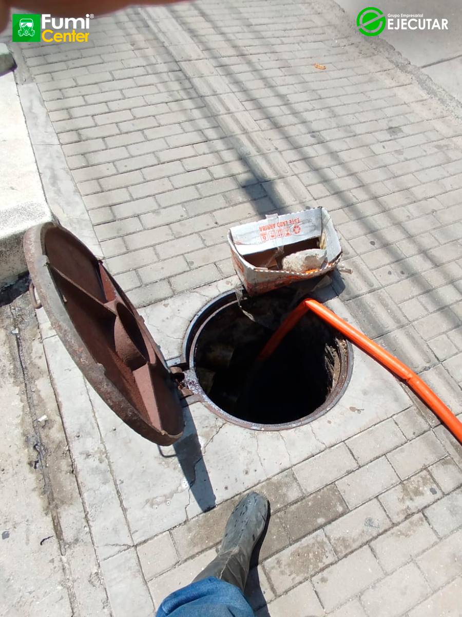 Control de plagas de FumiCenter para SENA en el Magdalena