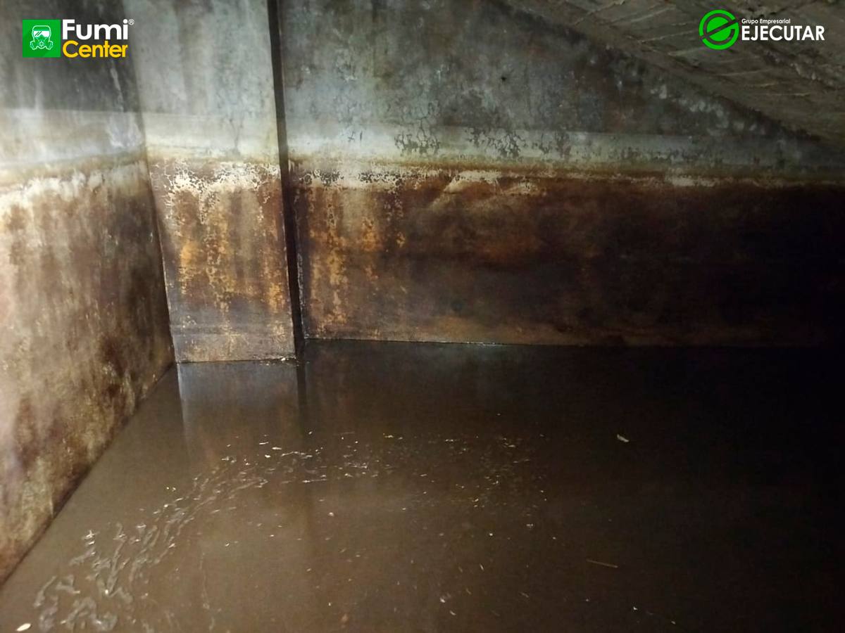Control de plagas de FumiCenter para SENA en el Magdalena