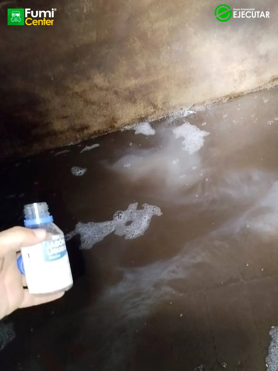 Control de plagas de FumiCenter para SENA en el Magdalena