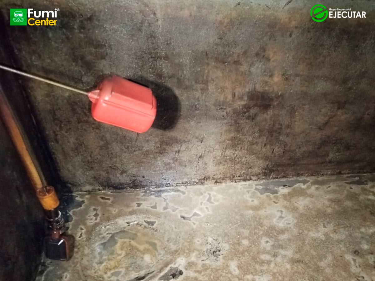 Tanque de almacenamiento de agua fotografiado durante el servicio de FumiCenter para SENA