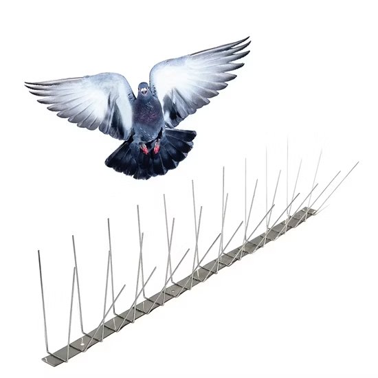Paloma en vuelo sobre una hilera de púas de acero inoxidable para evitar que se pose