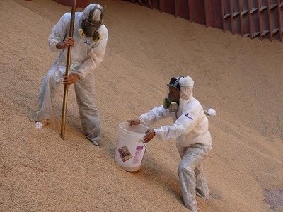 Dos operarios con traje de protección y respirador tomando muestras sobre una pila de granos almacenados
