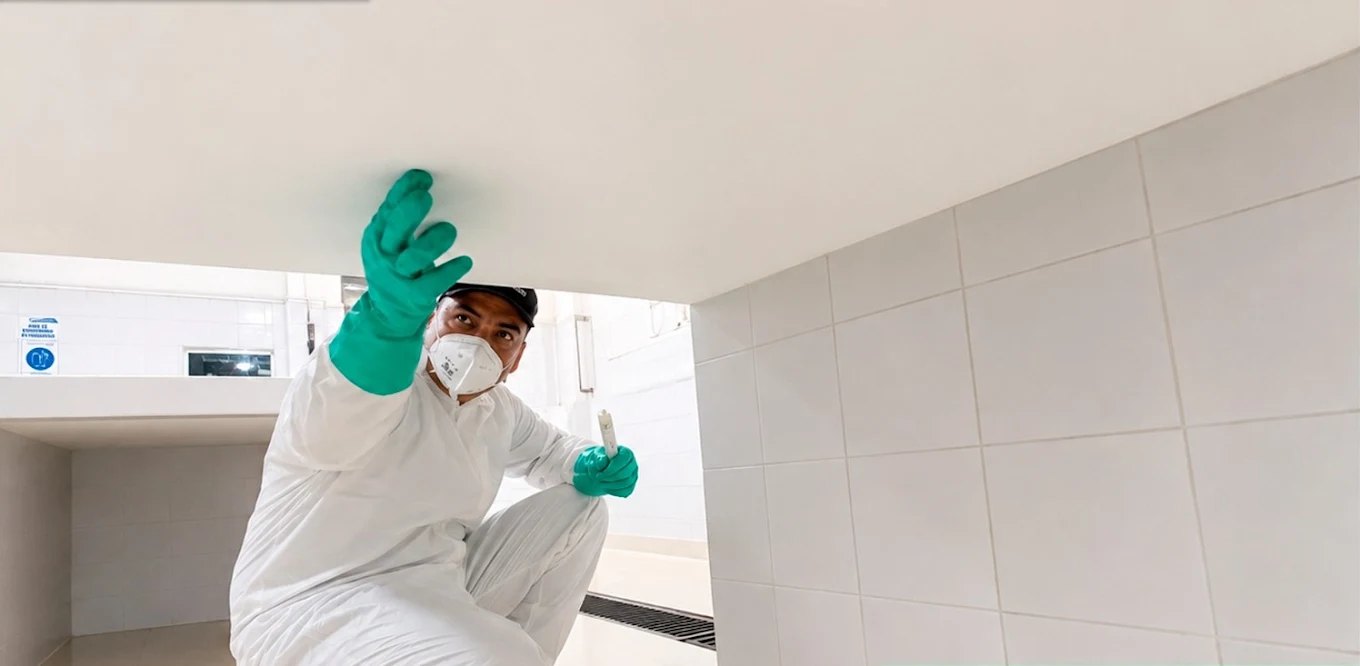 Técnico con guantes y tapabocas inspeccionando bajo un mesón de cocina y aplicando gel en puntos ocultos