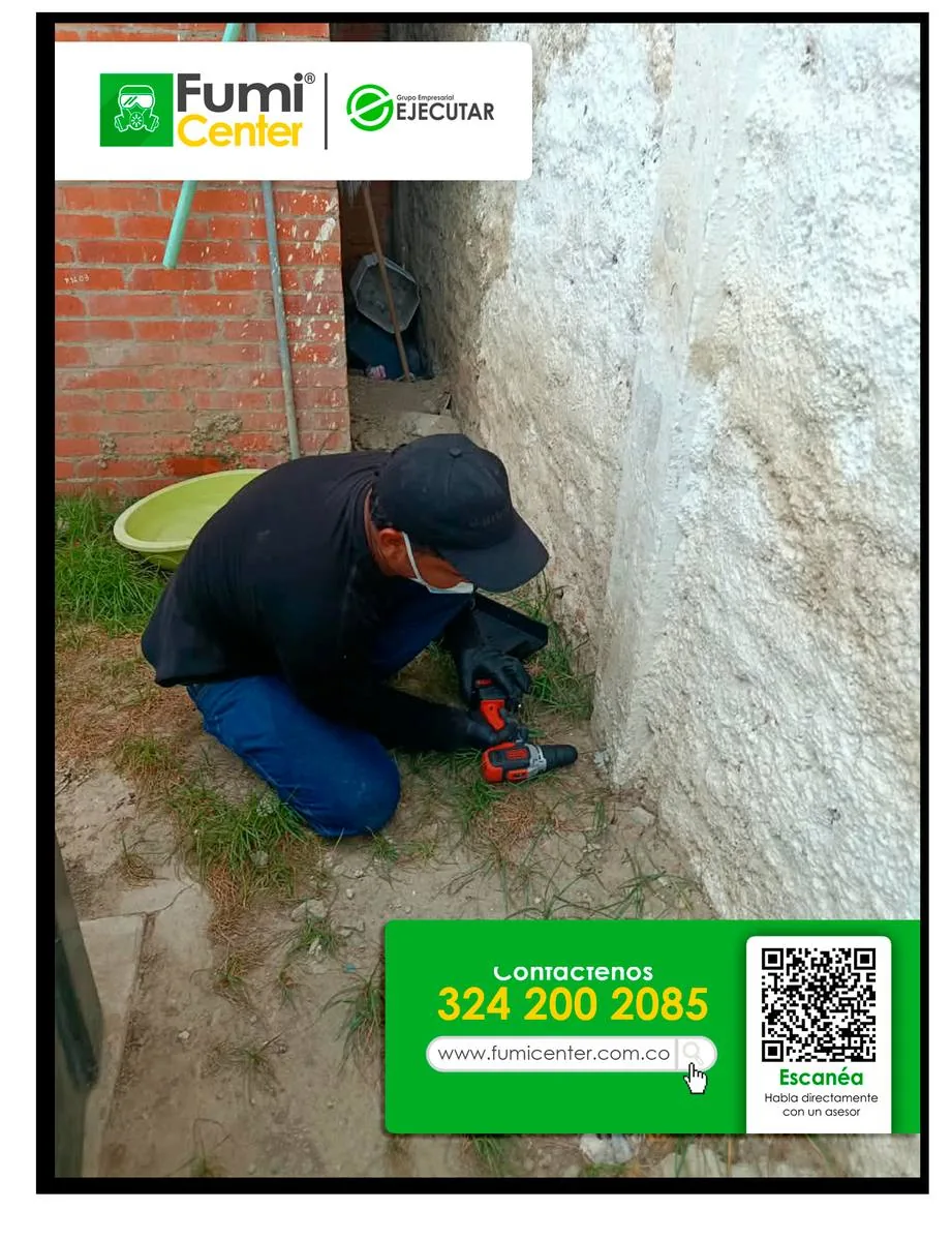 Control de roedores y desratización en Santa Marta por FumiCenter
