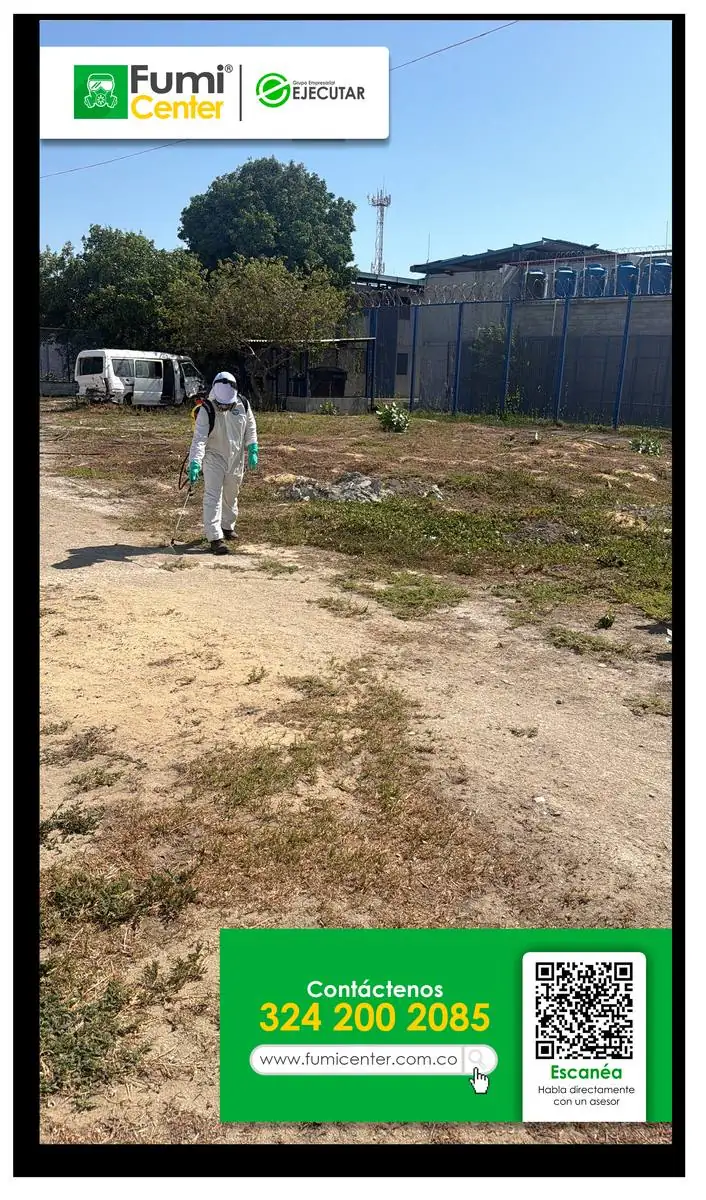Fumigación en Santa Marta realizada por FumiCenter