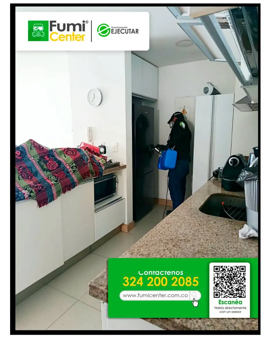 Fumigación de la cocina de un apartamento — FumiCenter Santa Marta