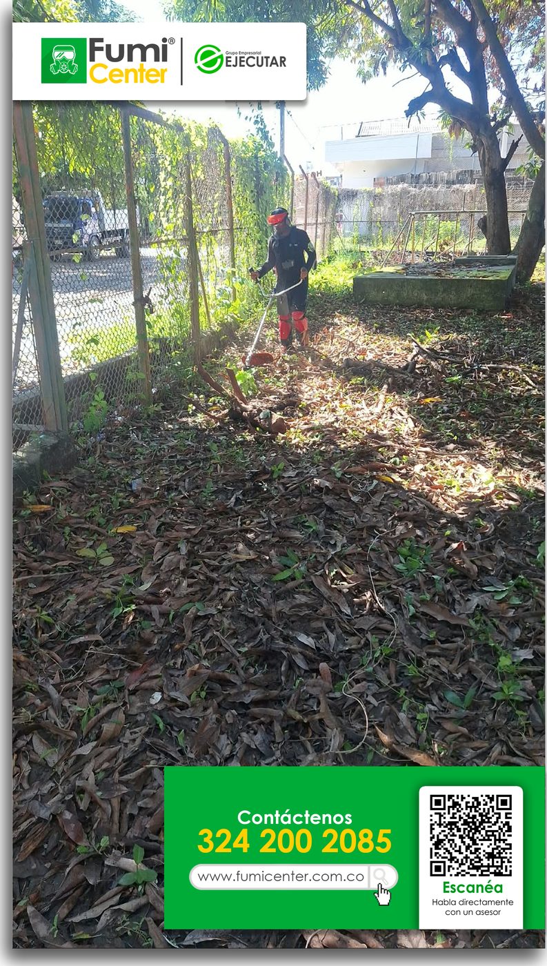 Operario de FumiCenter cortando maleza en la zona verde de una bodega en Santa Marta