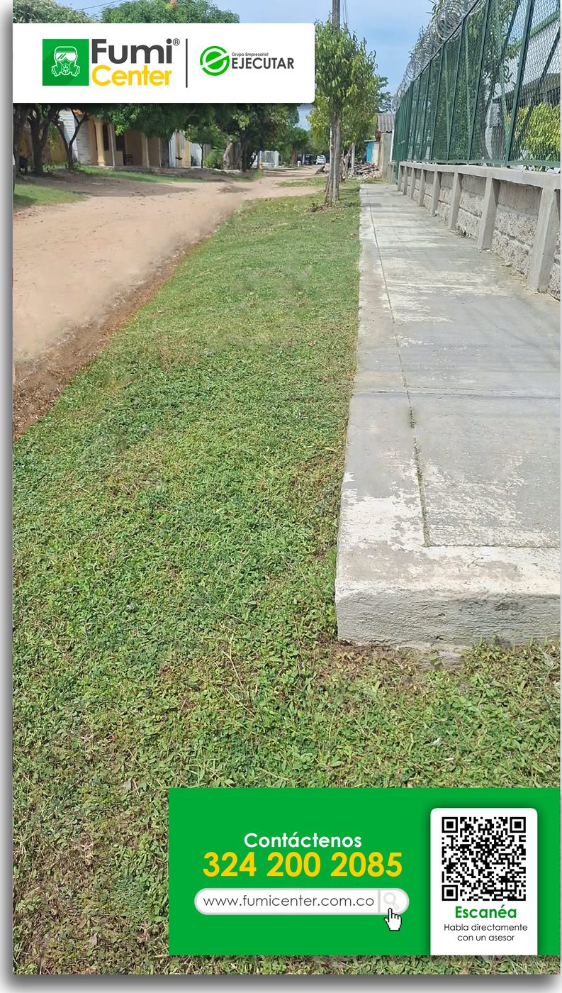 Zona verde y andén de una institución en Santa Marta con el césped cortado por FumiCenter