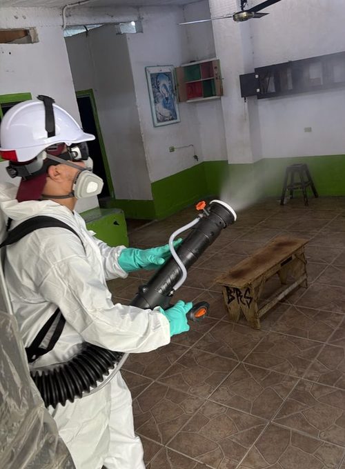 Tratamiento en vivienda — FumiCenter